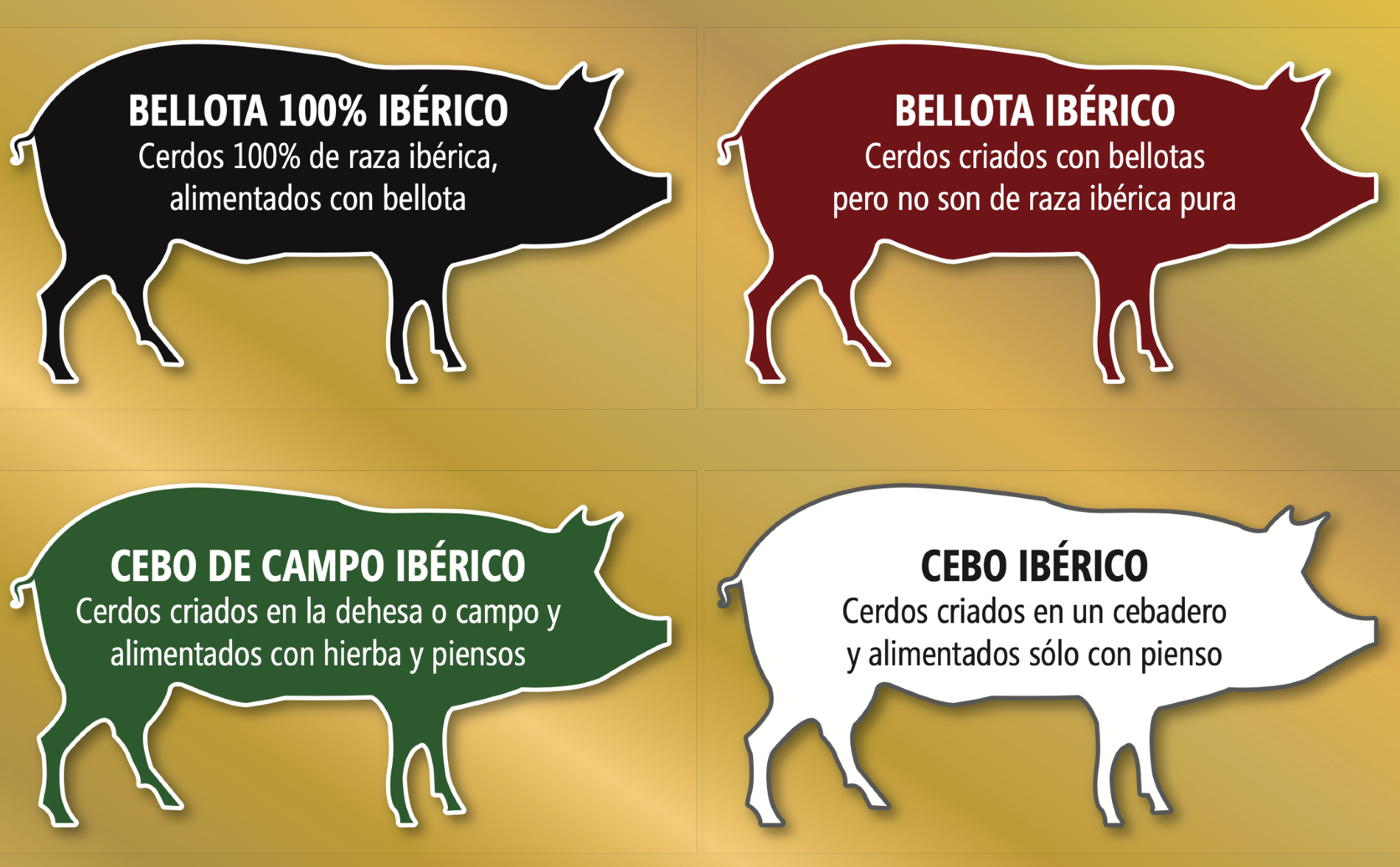 Tipos de etiquetas de ibricos
